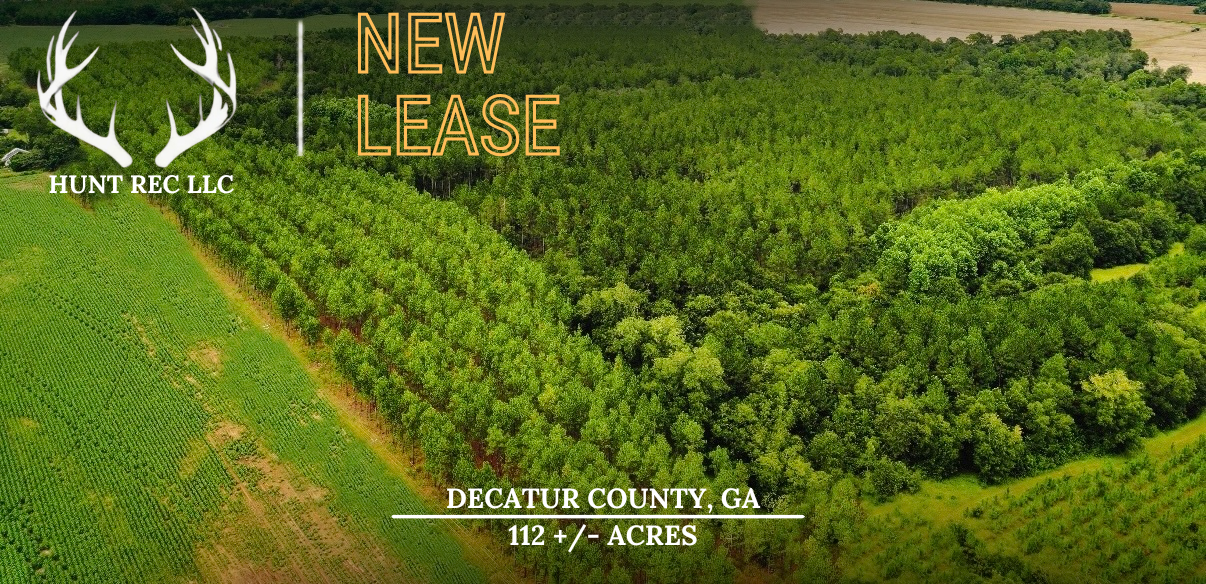 Georgia-HR2