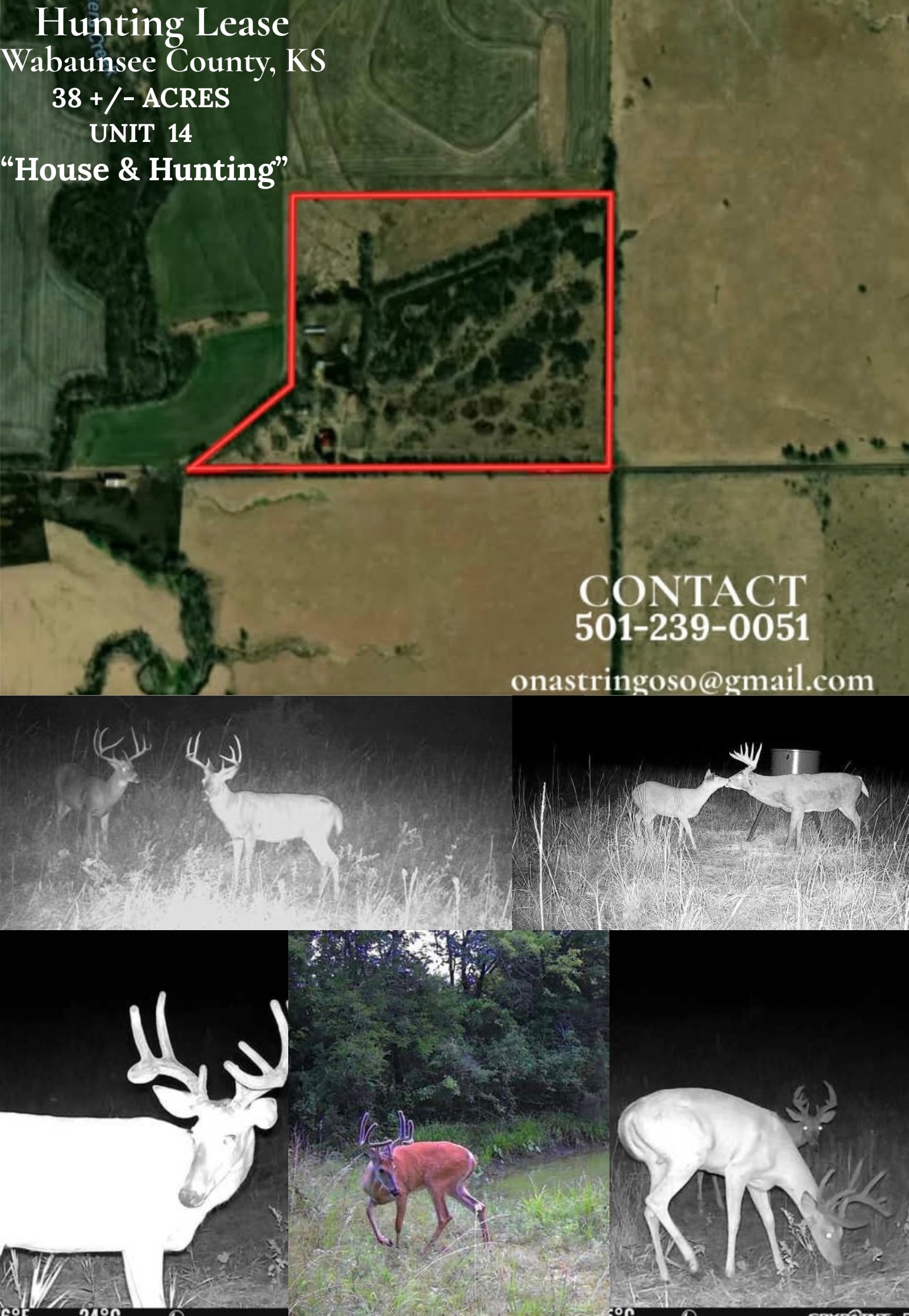 House & Hunting
